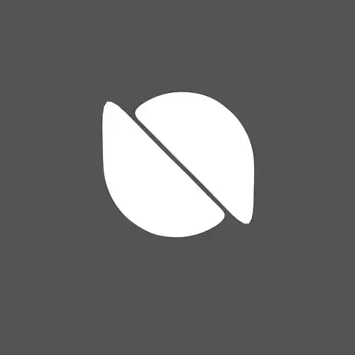 Ontology Coin v2 004