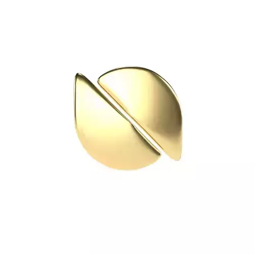 Ontology Coin v2 005