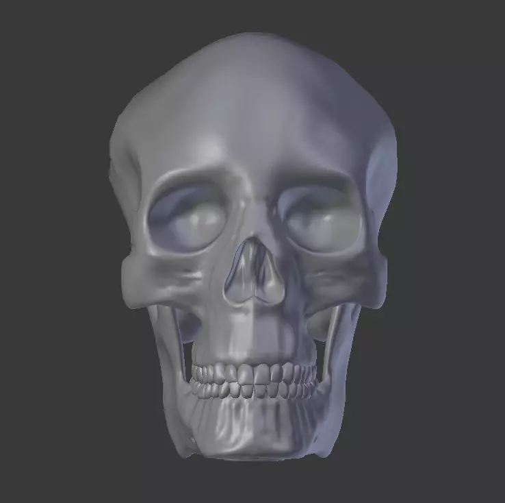 skull Free 3D print model