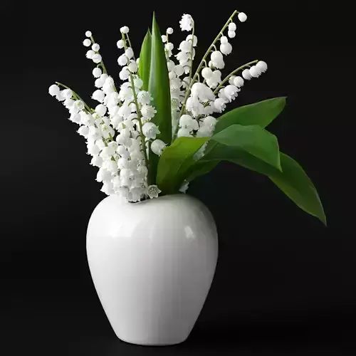 Lily of the Valley 3D model