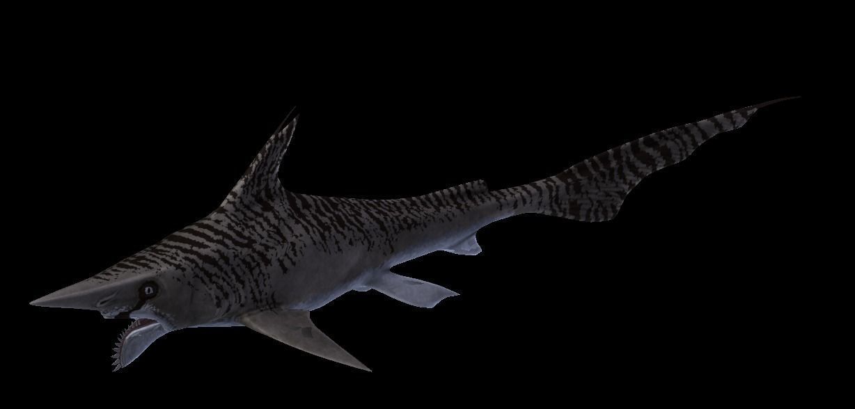 Helicoprion Asset Pack Low-poly 3D model_8