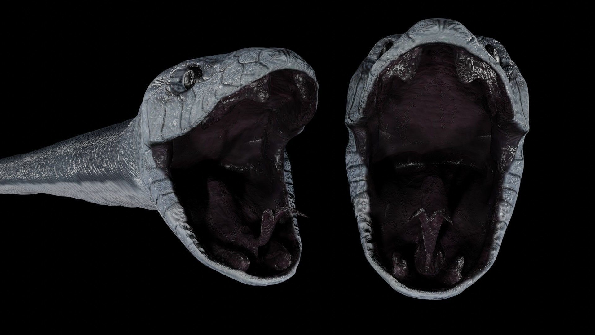 Black Mamba Snake Low-poly 3D model_2