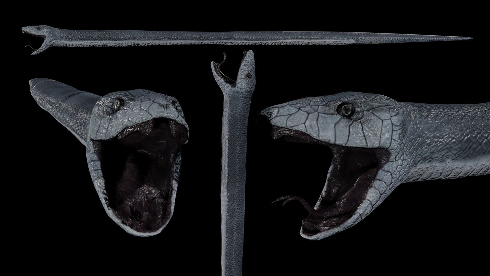 Black Mamba Snake Low-poly 3D model_5