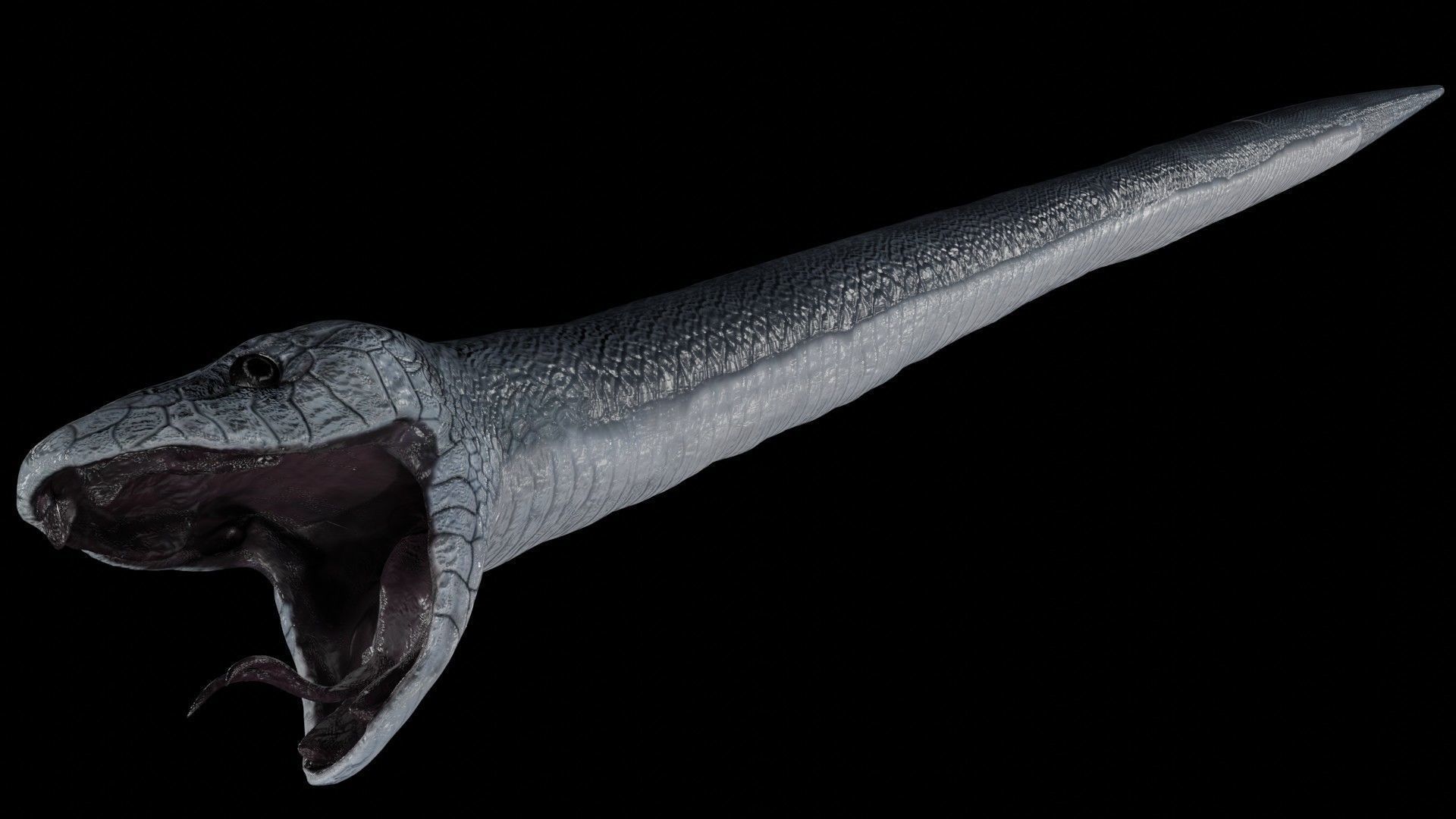 Black Mamba Snake Low-poly 3D model_4