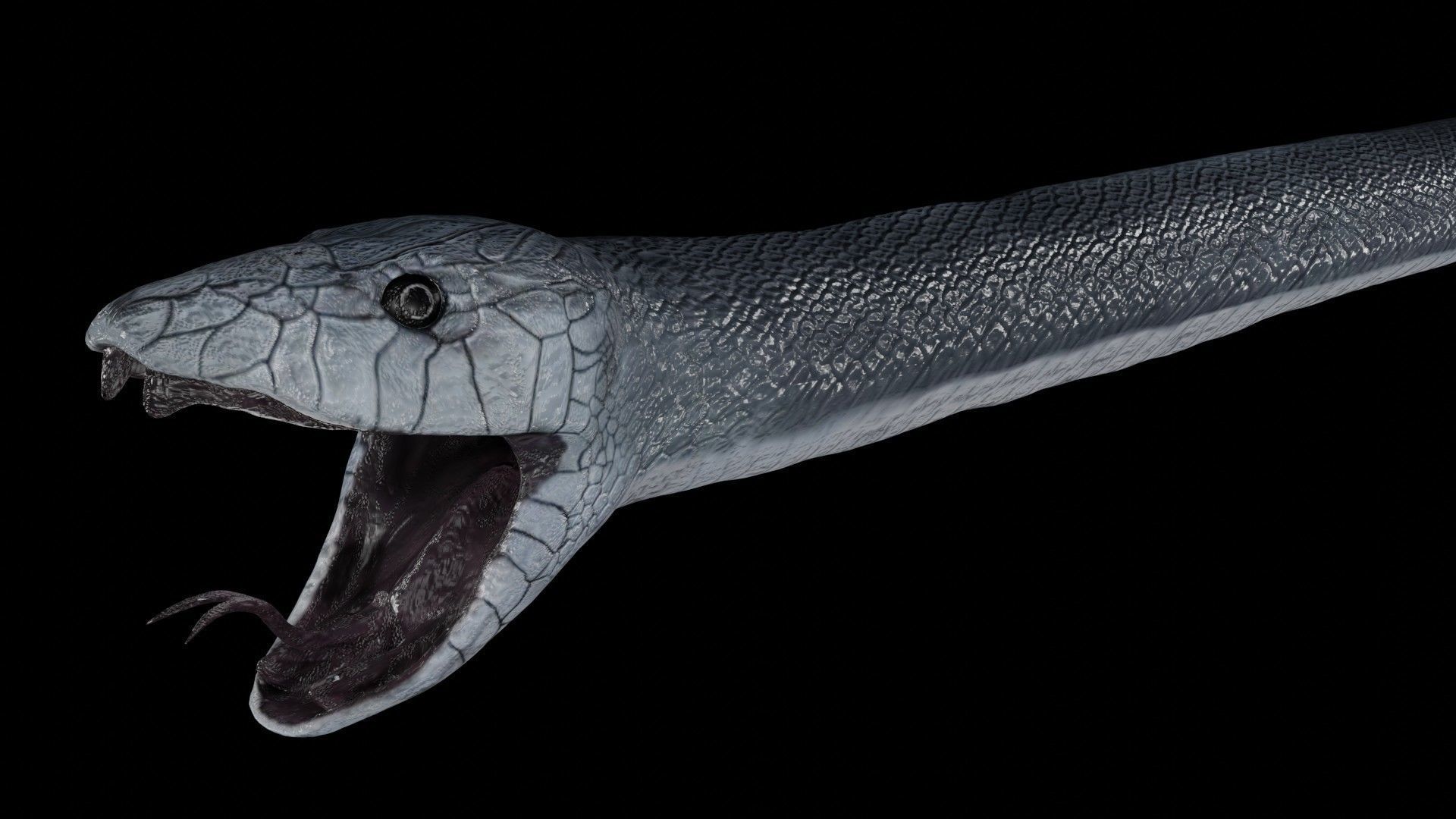 Black Mamba Snake Low-poly 3D model_1
