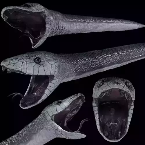 Black Mamba Snake Low-poly 3D model