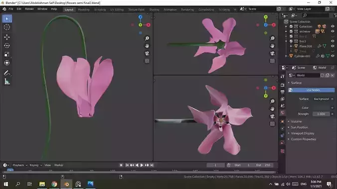 3D model of a Cyclamen flower