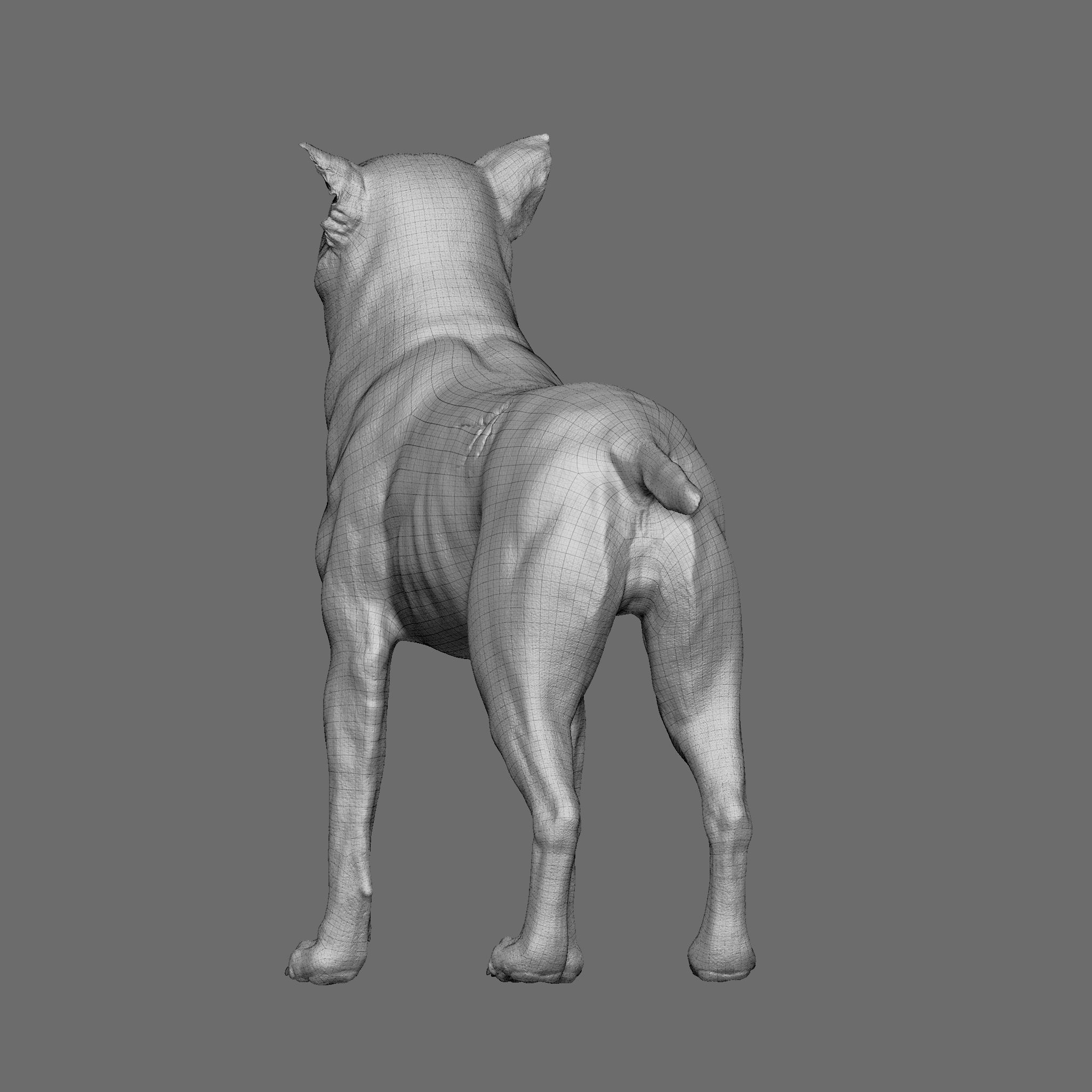 Dog 3D Printable Model 3D print model_29