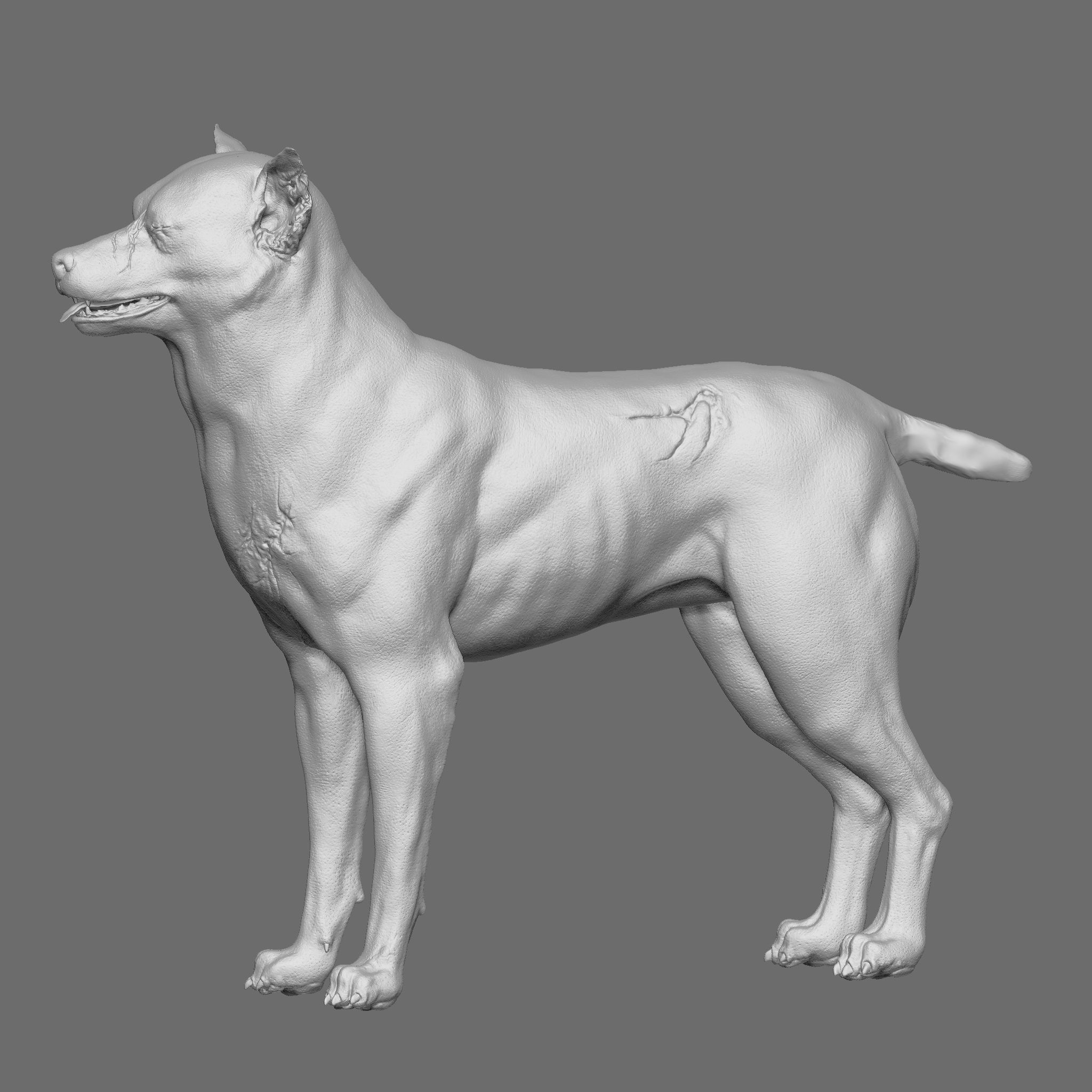 Dog 3D Printable Model 3D print model_8