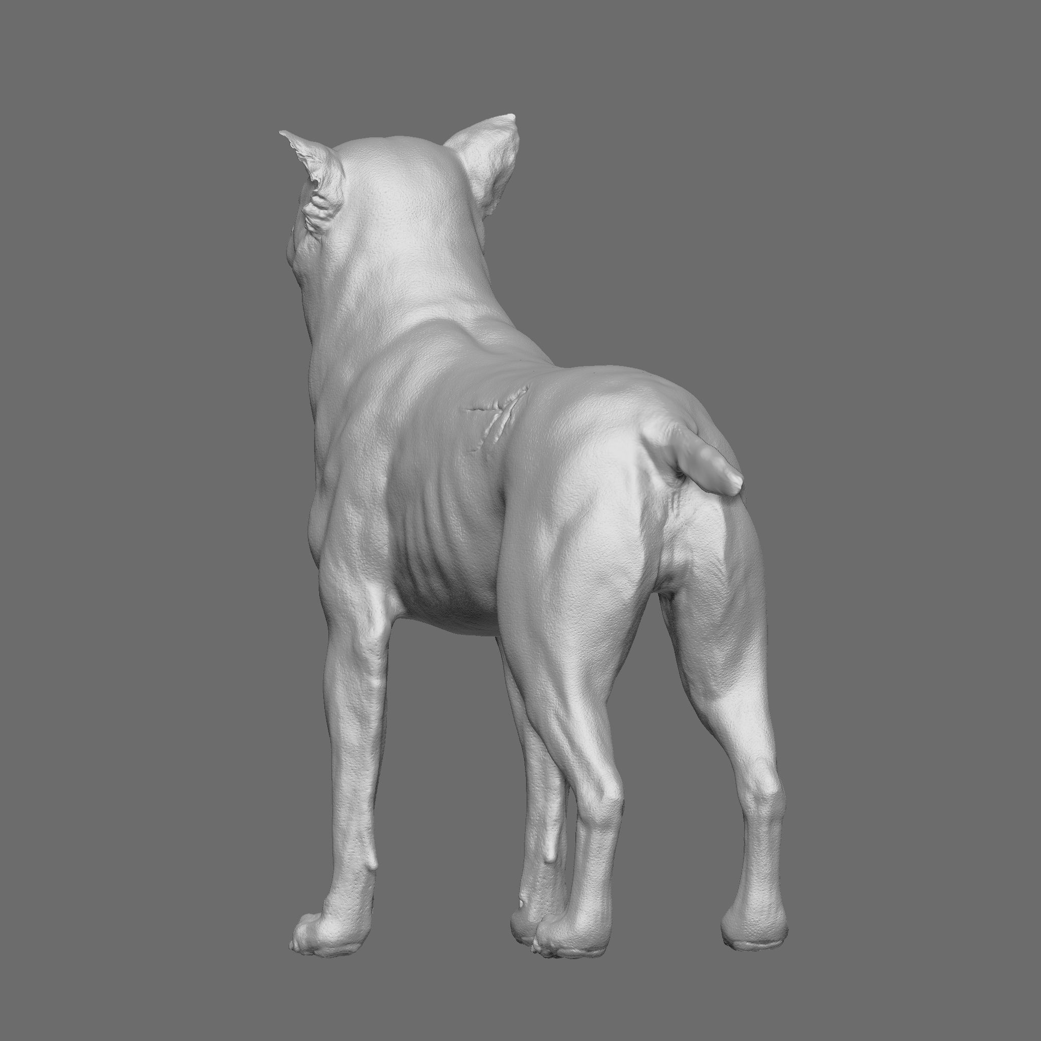 Dog 3D Printable Model 3D print model_12