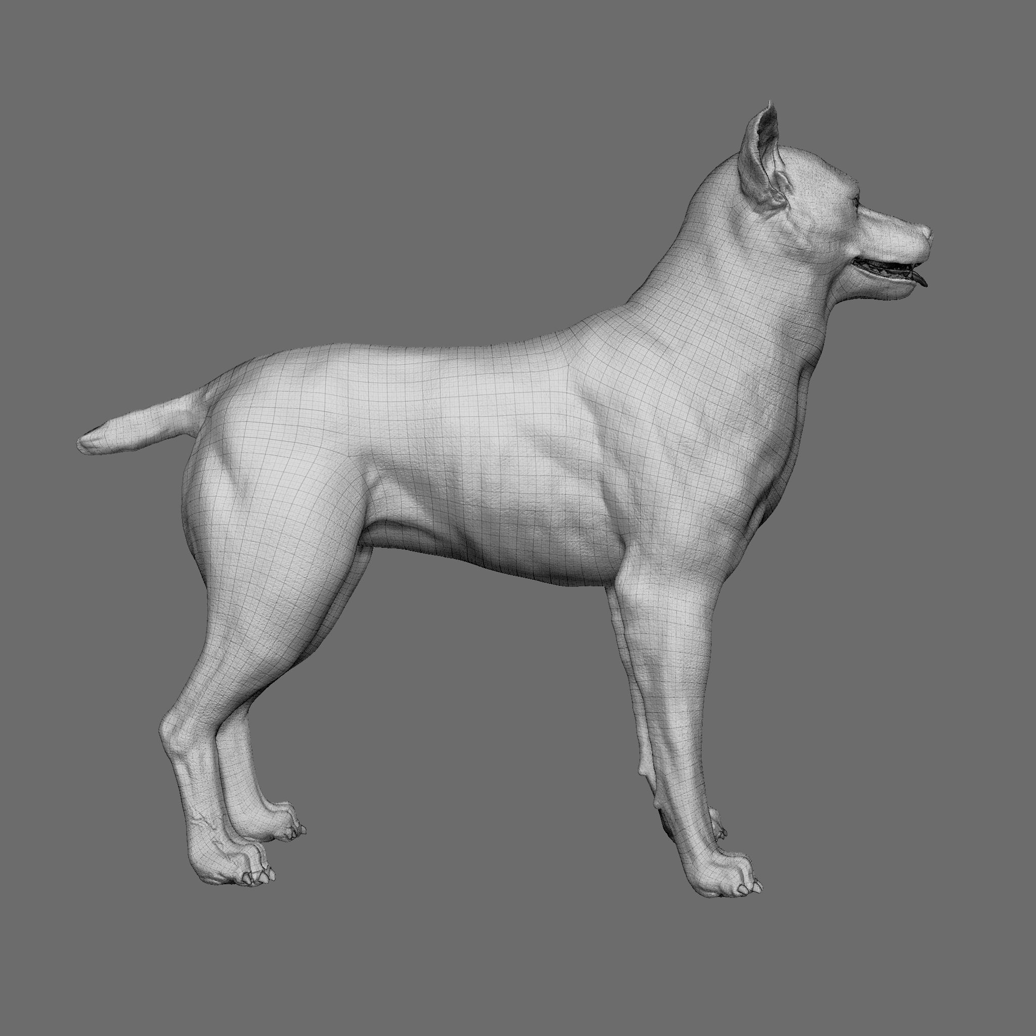 Dog 3D Printable Model 3D print model_31