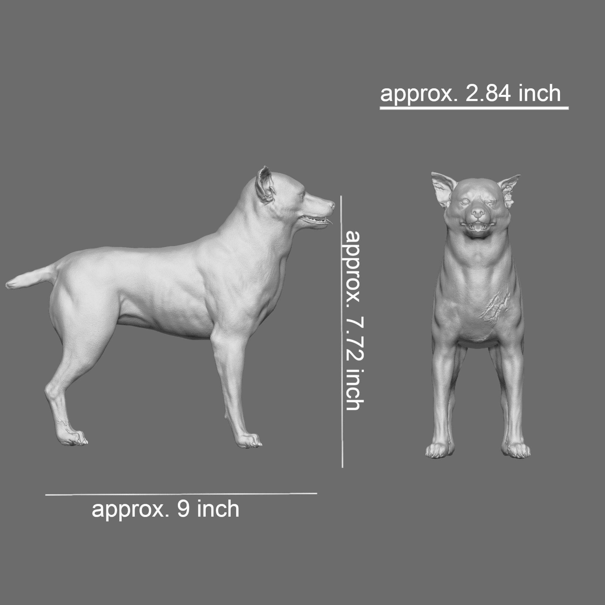 Dog 3D Printable Model 3D print model_1