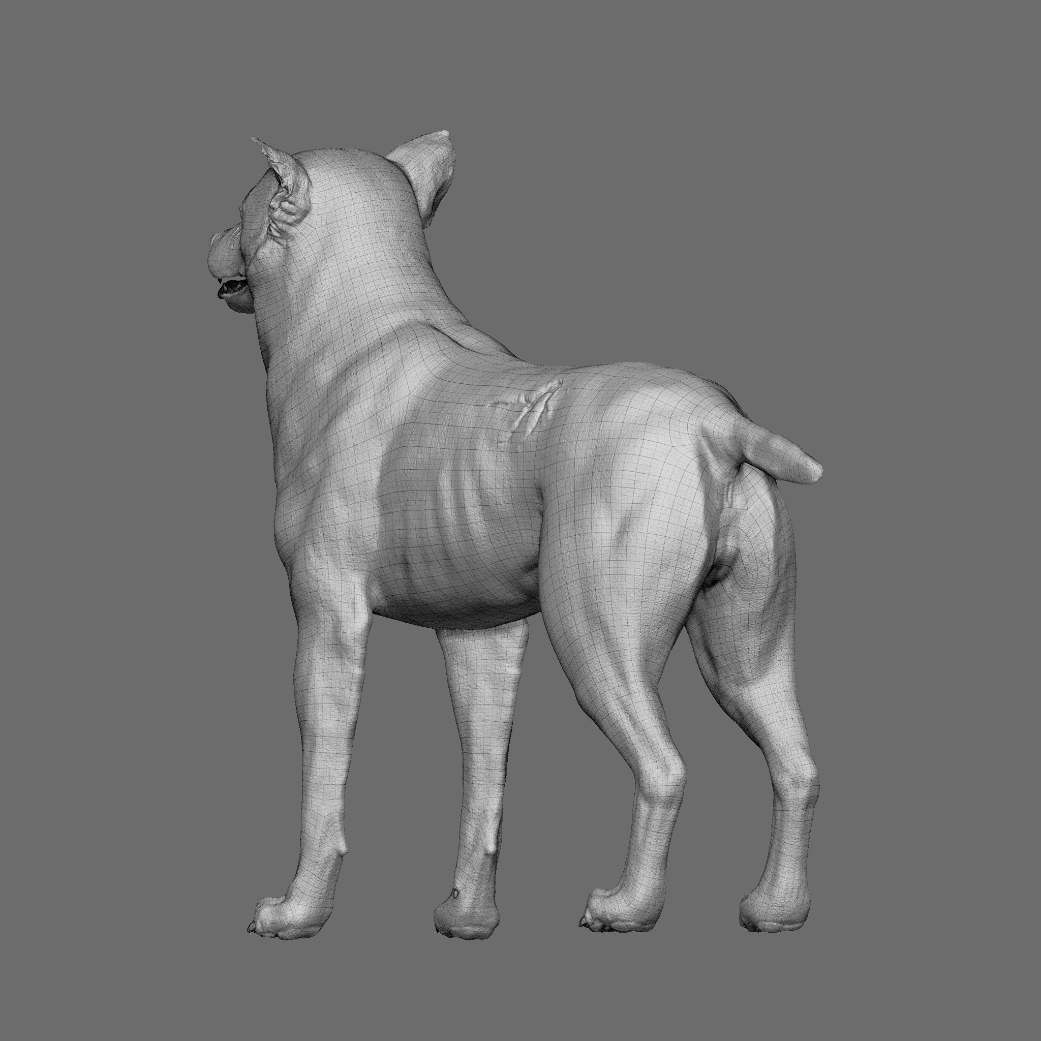 Dog 3D Printable Model 3D print model_26