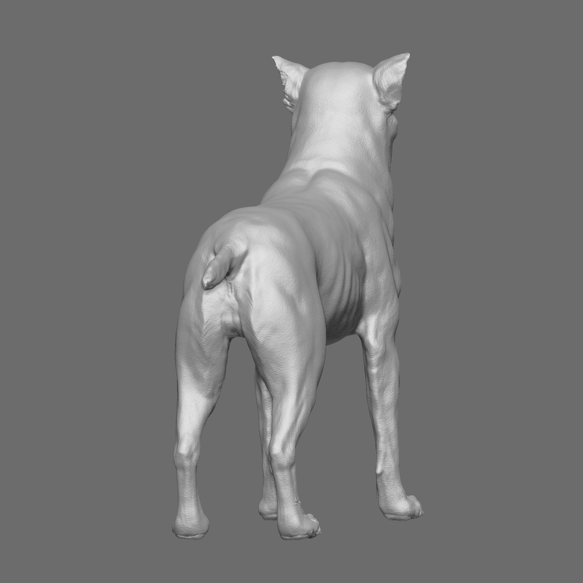 Dog 3D Printable Model 3D print model_15