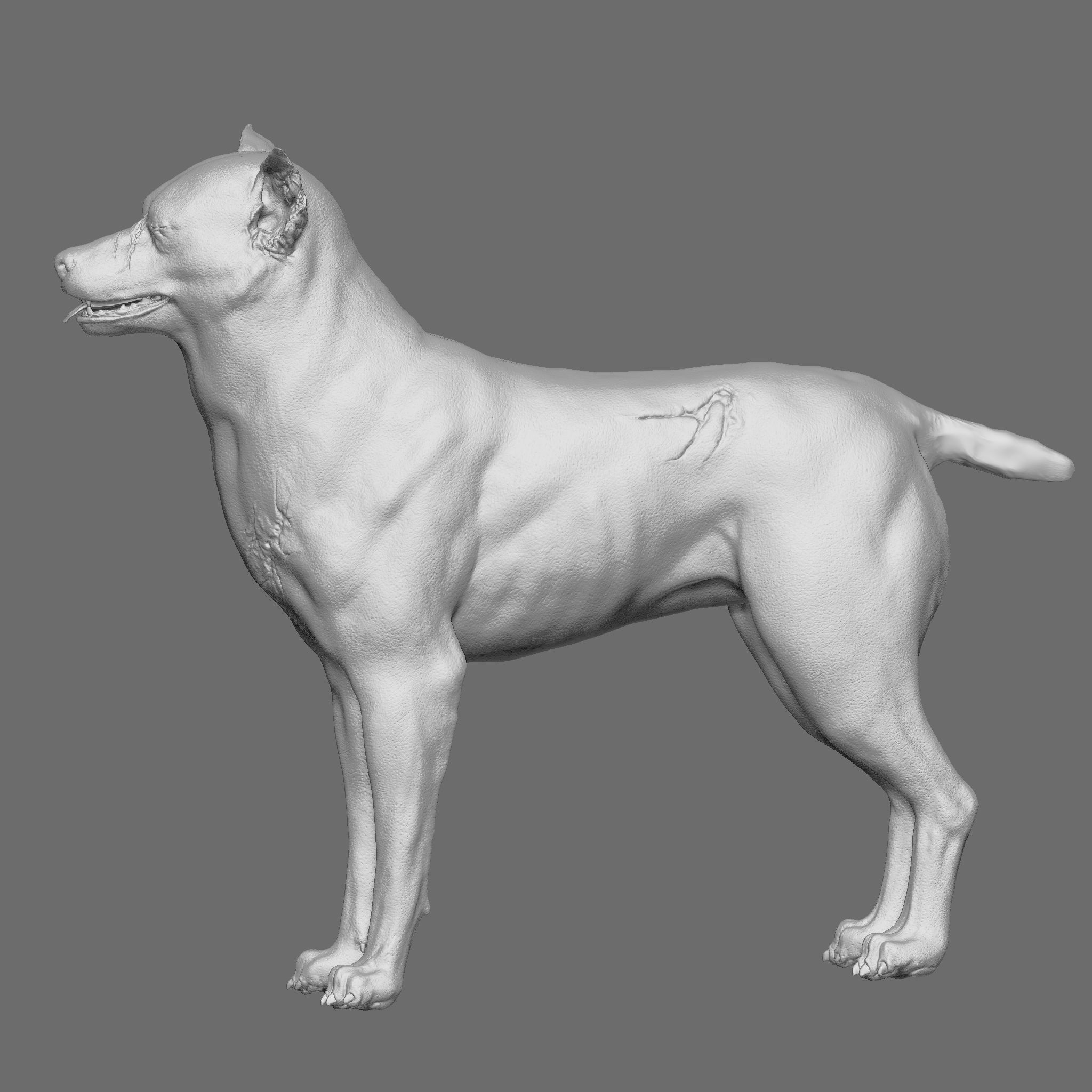 Dog 3D Printable Model 3D print model_9