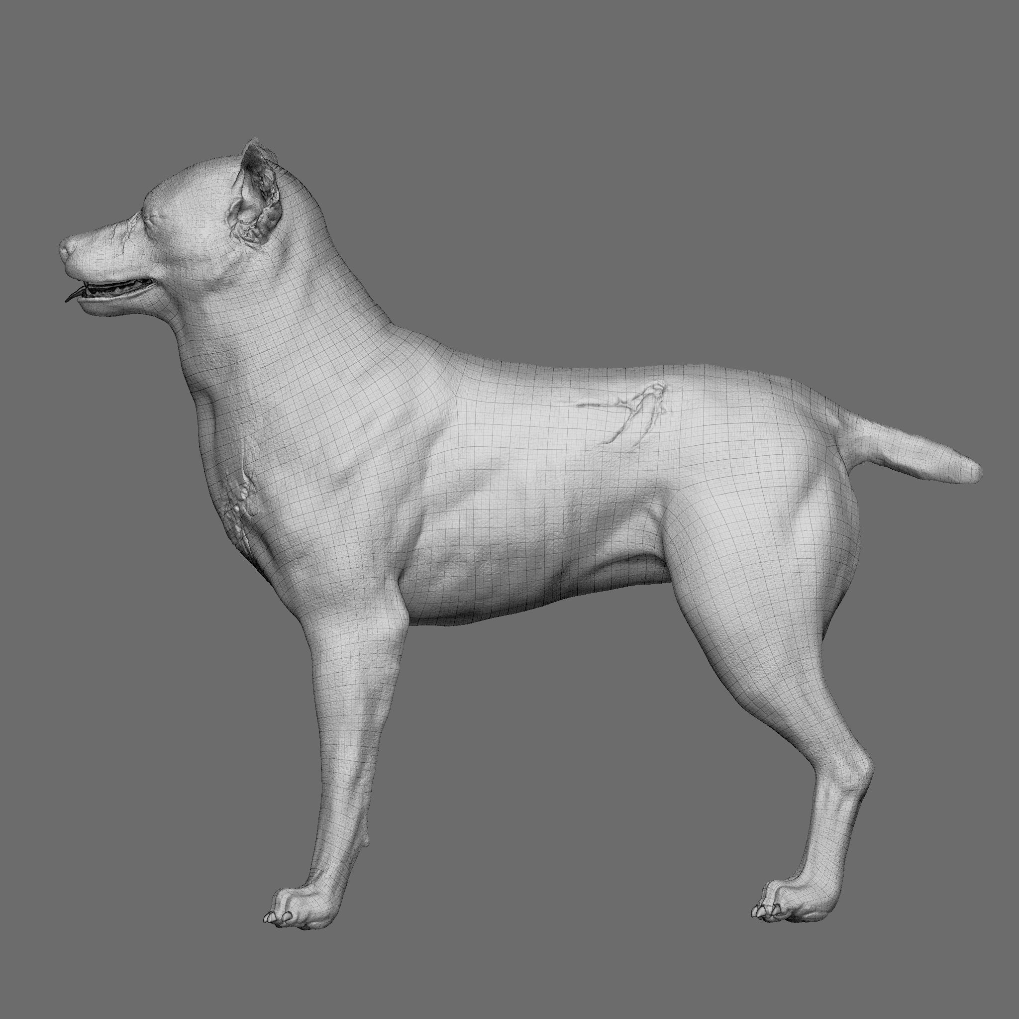 Dog 3D Printable Model 3D print model_28