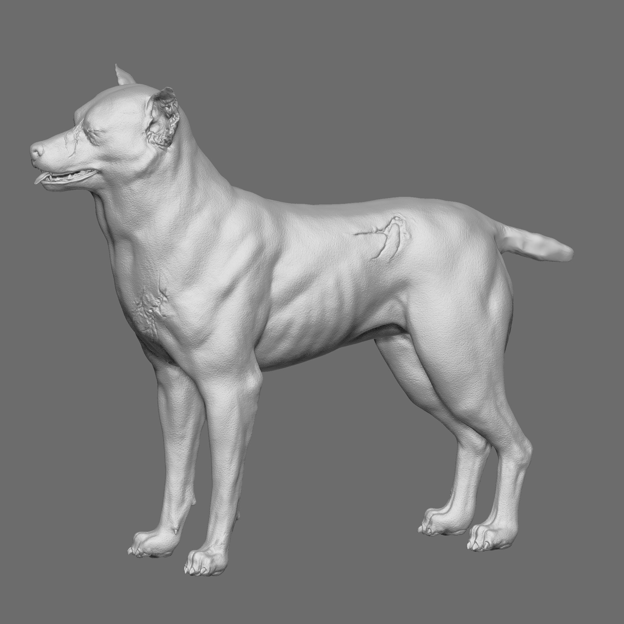 Dog 3D Printable Model 3D print model_7