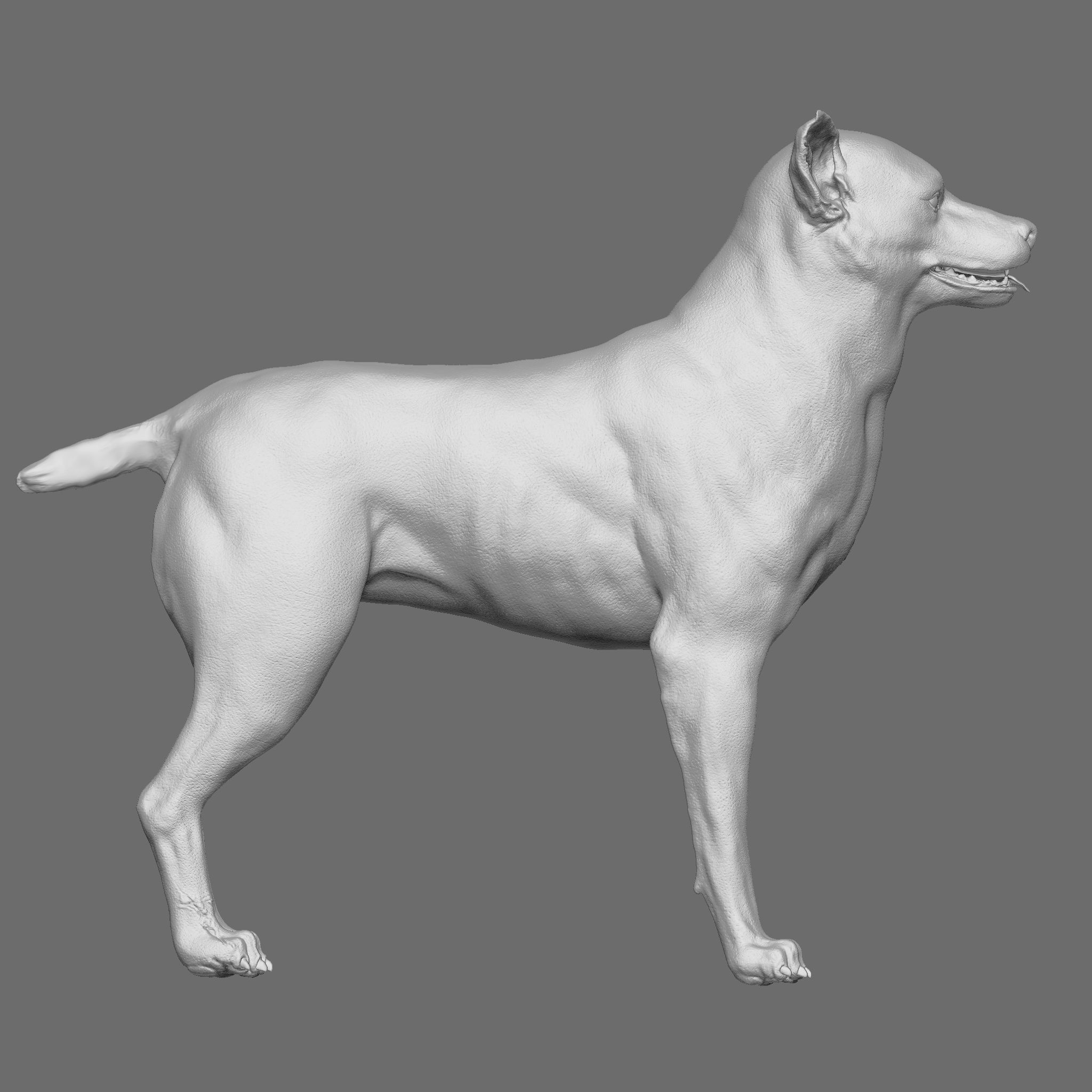 Dog 3D Printable Model 3D print model_22