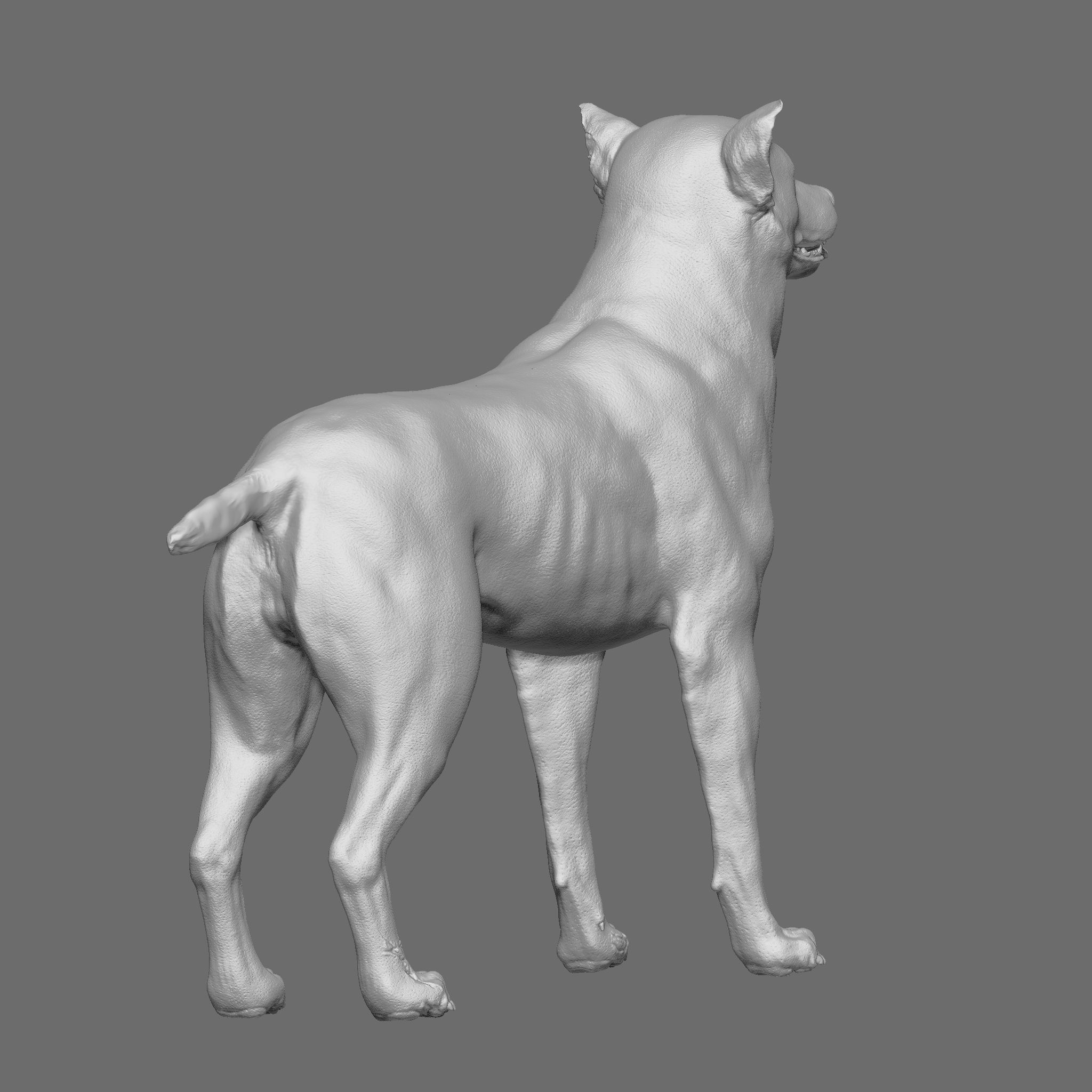 Dog 3D Printable Model 3D print model_13