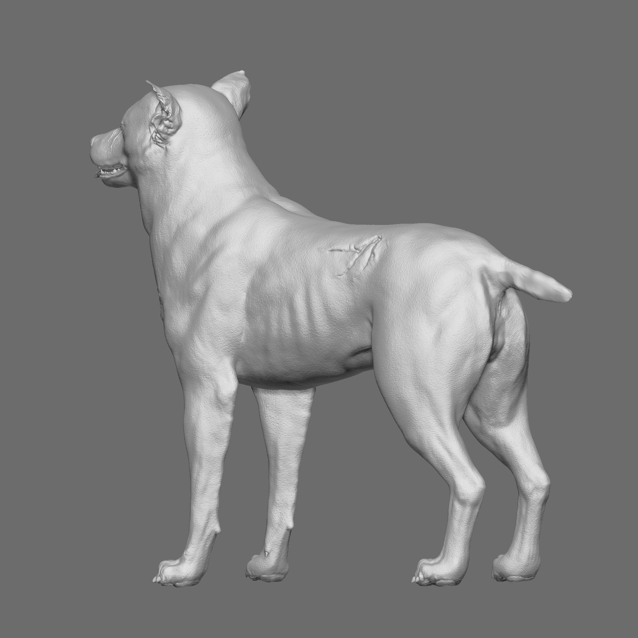 Dog 3D Printable Model 3D print model_18