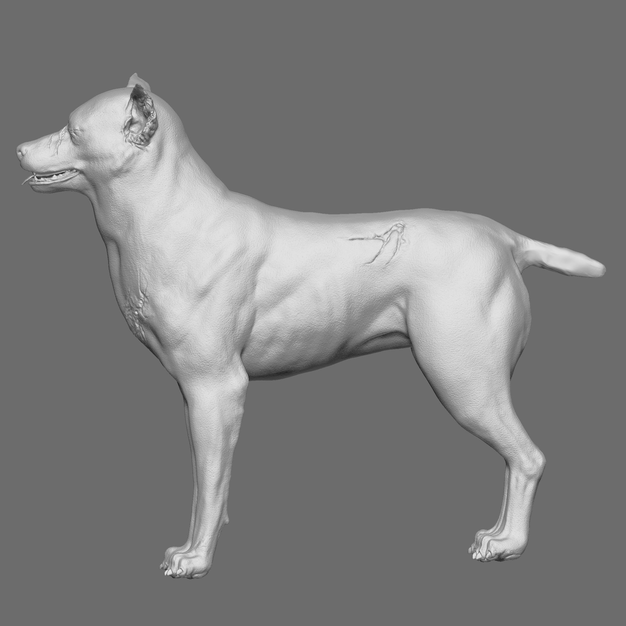 Dog 3D Printable Model 3D print model_10