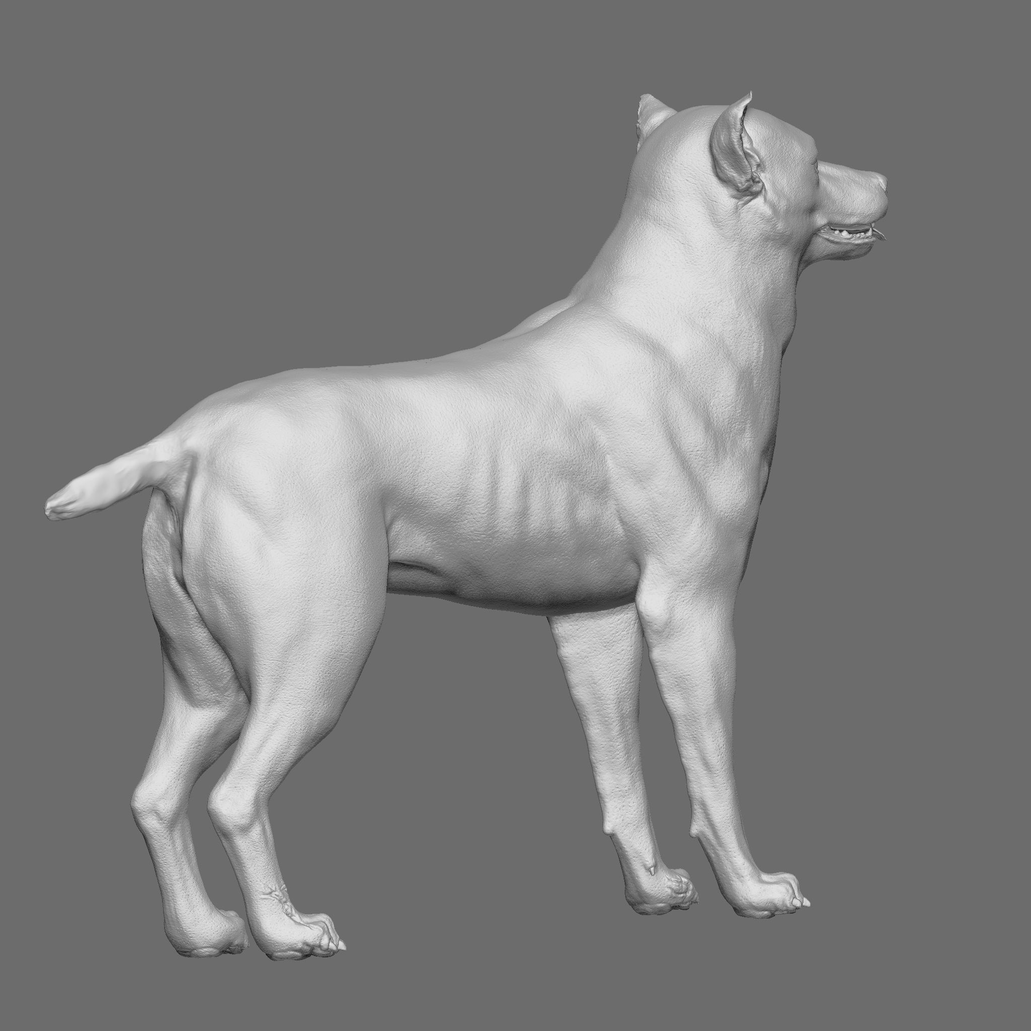 Dog 3D Printable Model 3D print model_17