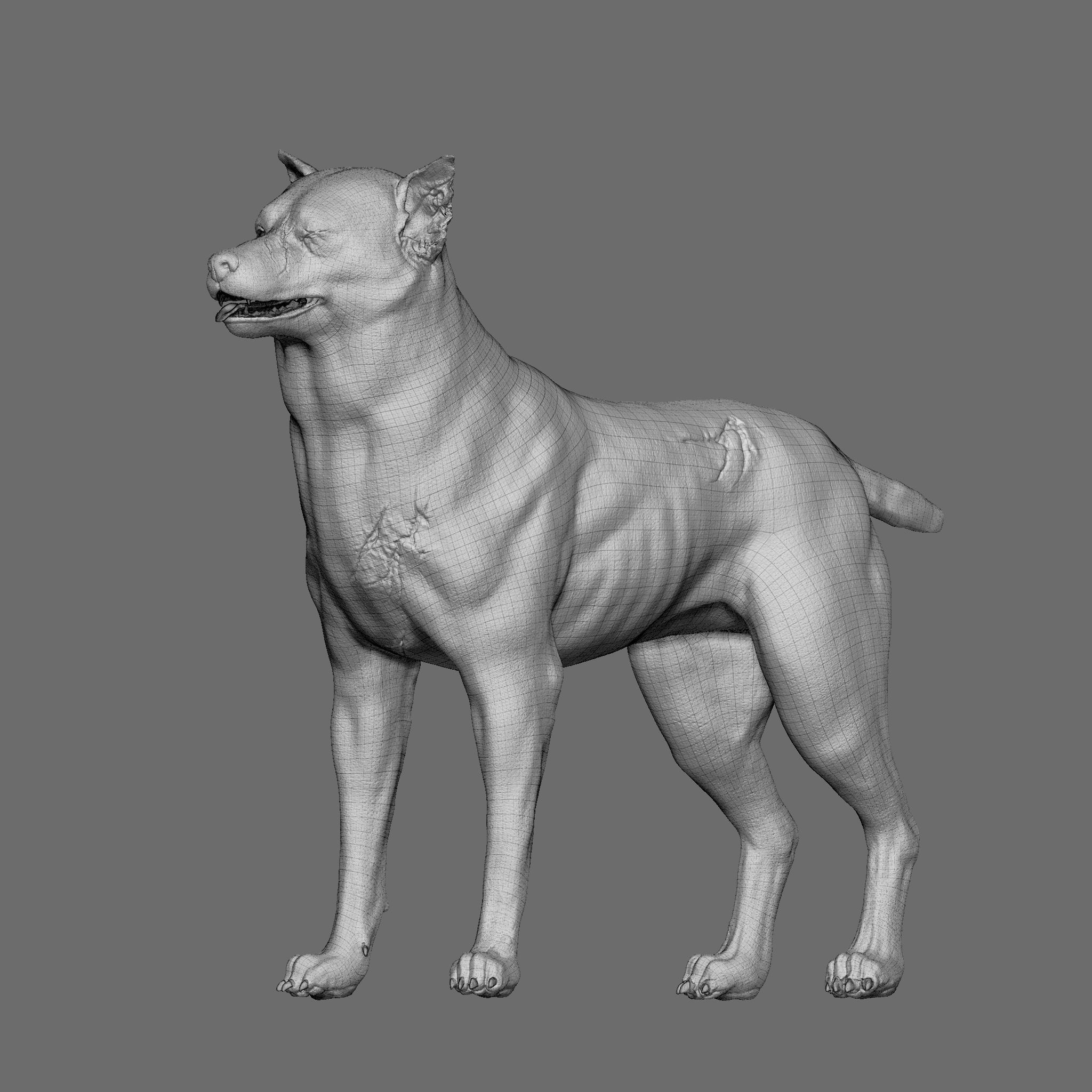 Dog 3D Printable Model 3D print model_25
