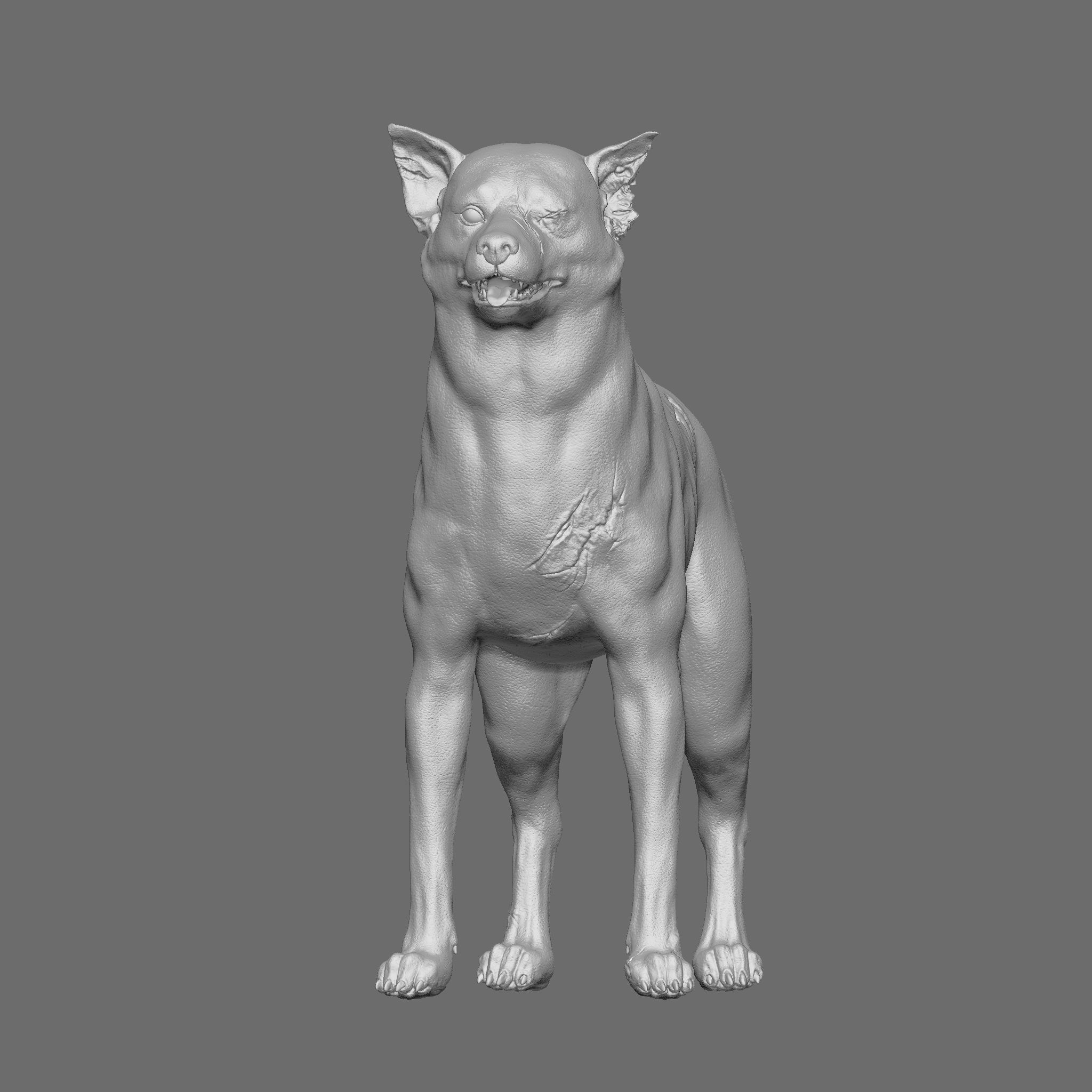 Dog 3D Printable Model 3D print model_3