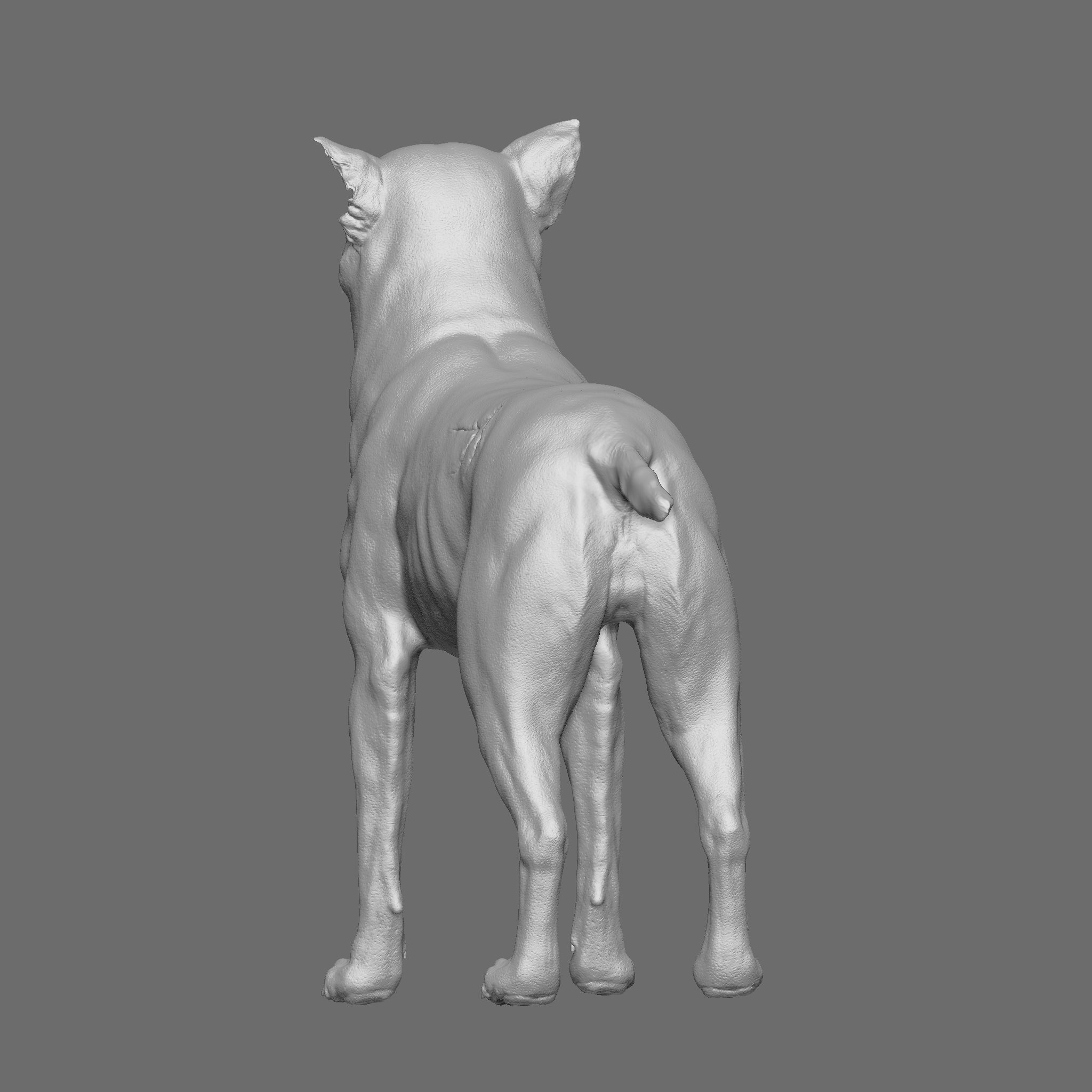 Dog 3D Printable Model 3D print model_21