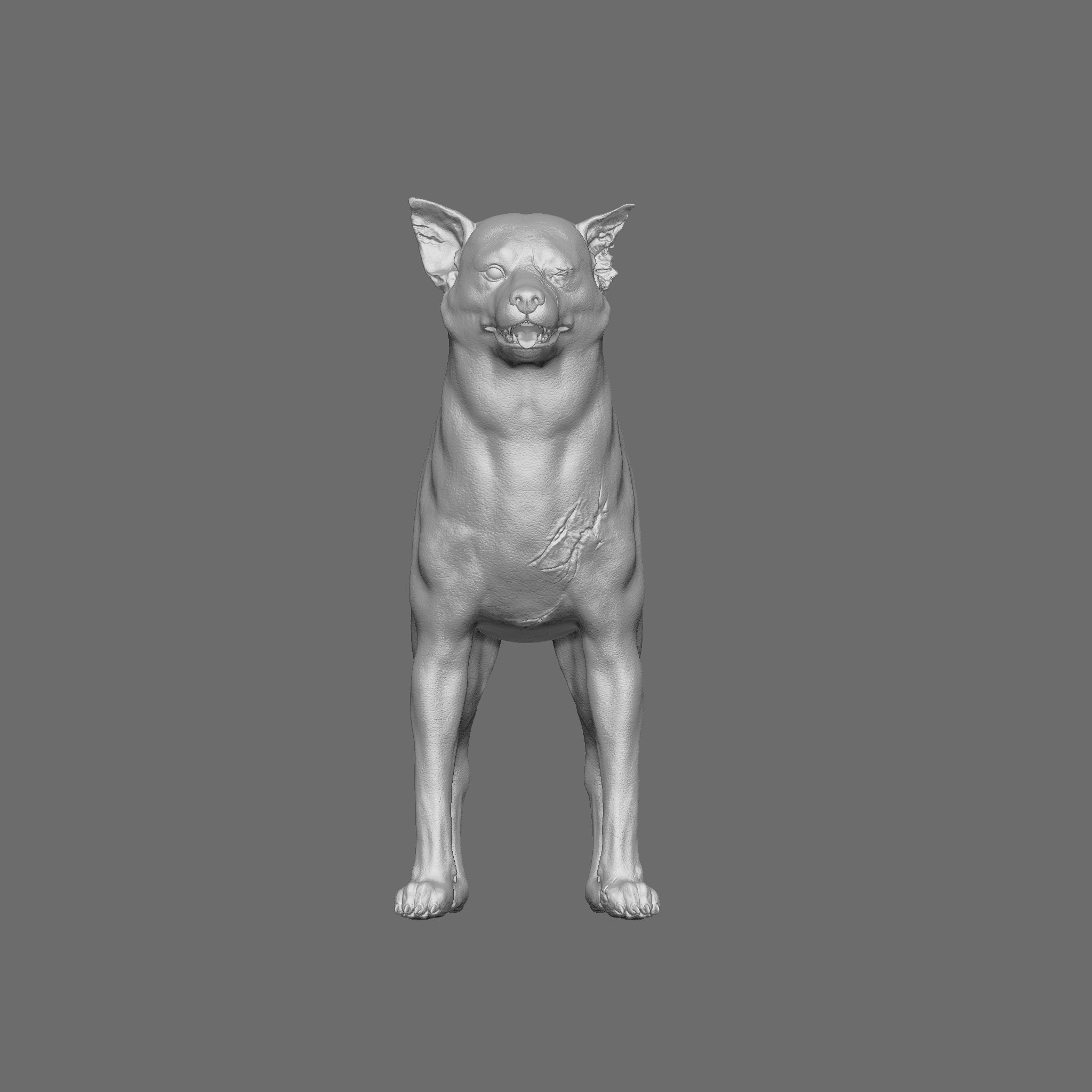 Dog 3D Printable Model 3D print model_2