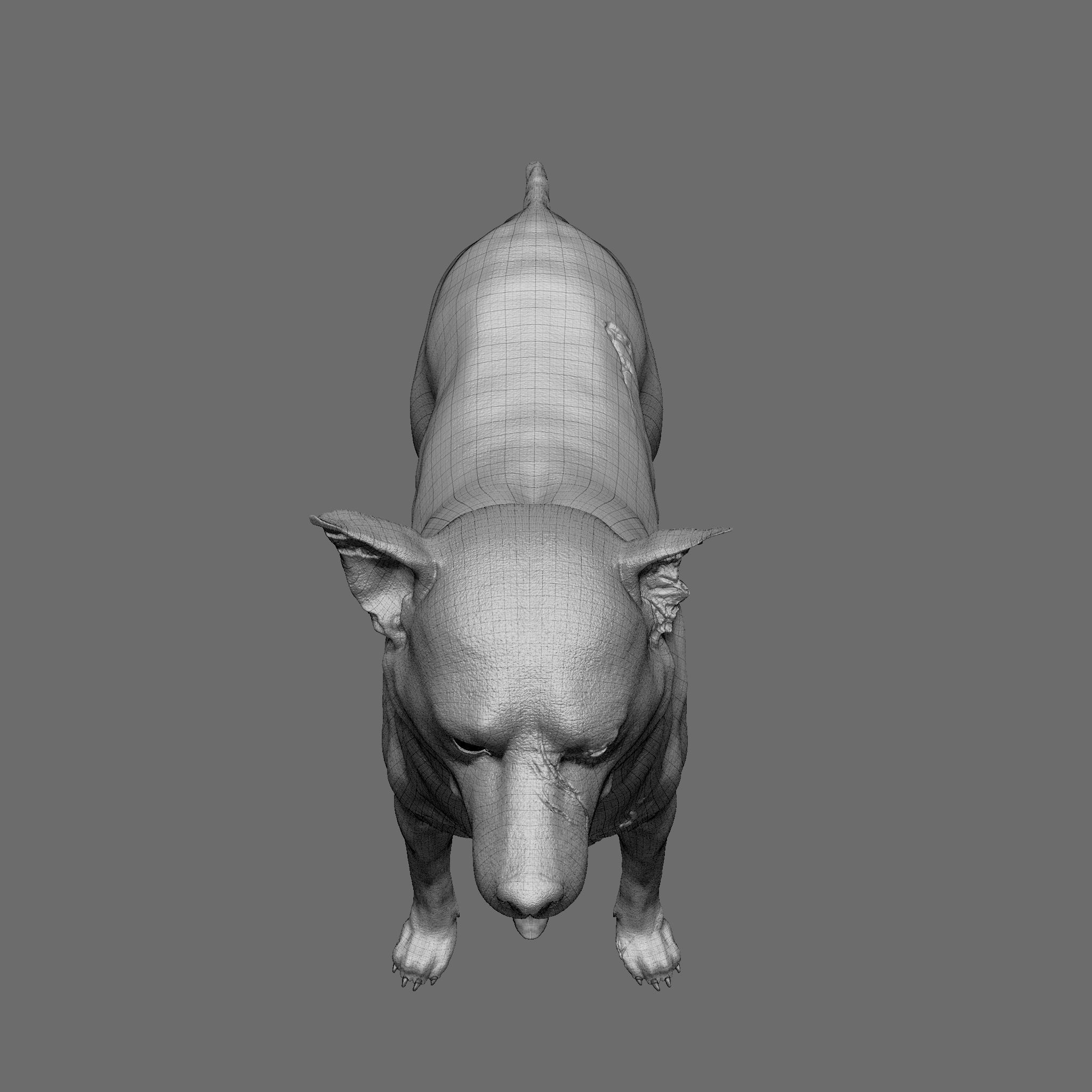 Dog 3D Printable Model 3D print model_33