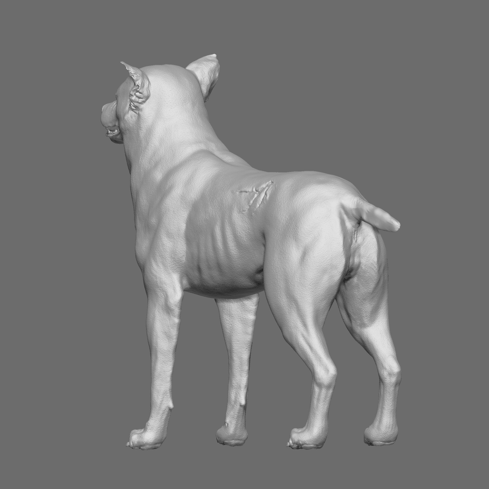 Dog 3D Printable Model 3D print model_14