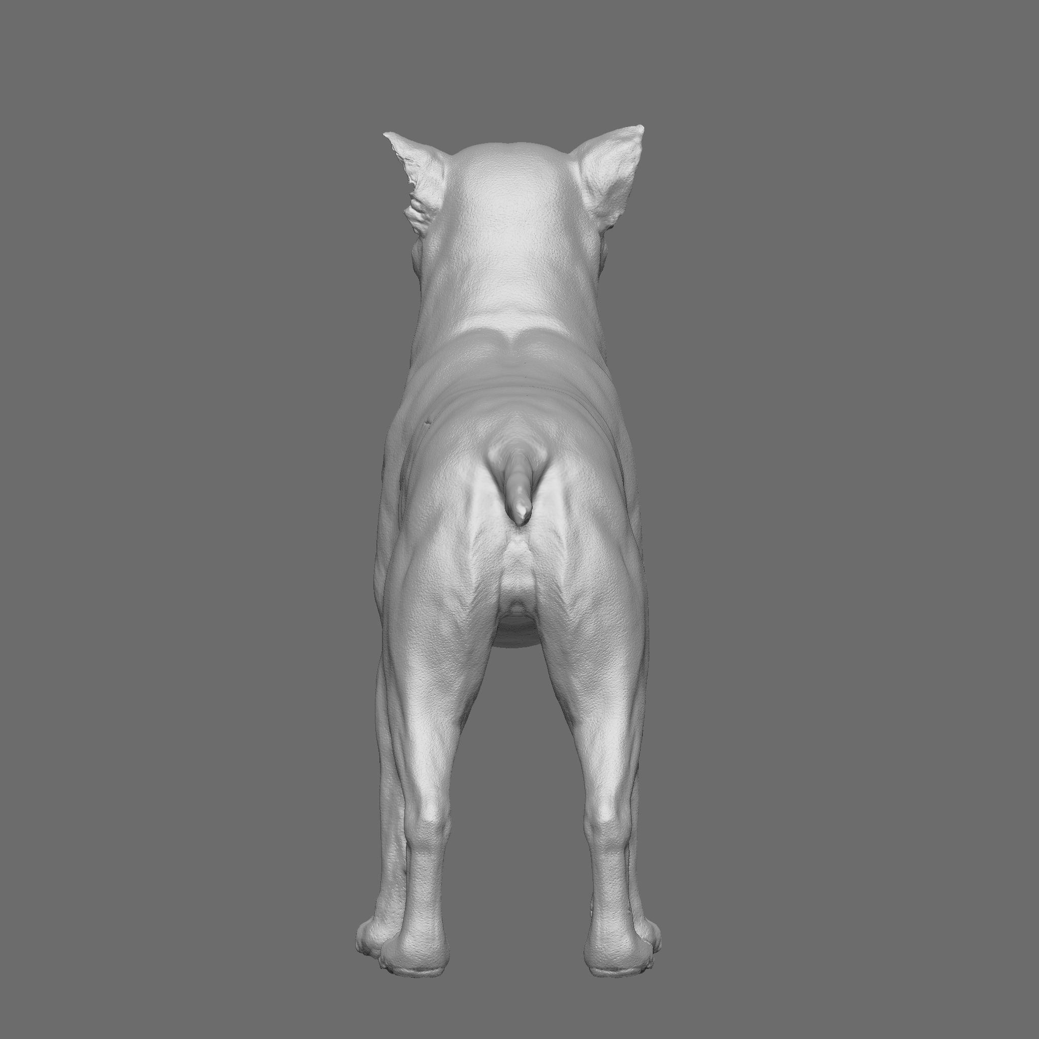 Dog 3D Printable Model 3D print model_11