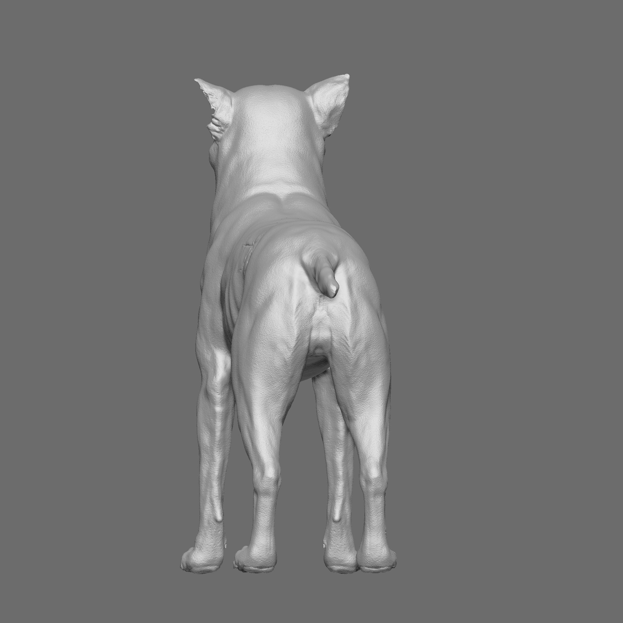 Dog 3D Printable Model 3D print model_16