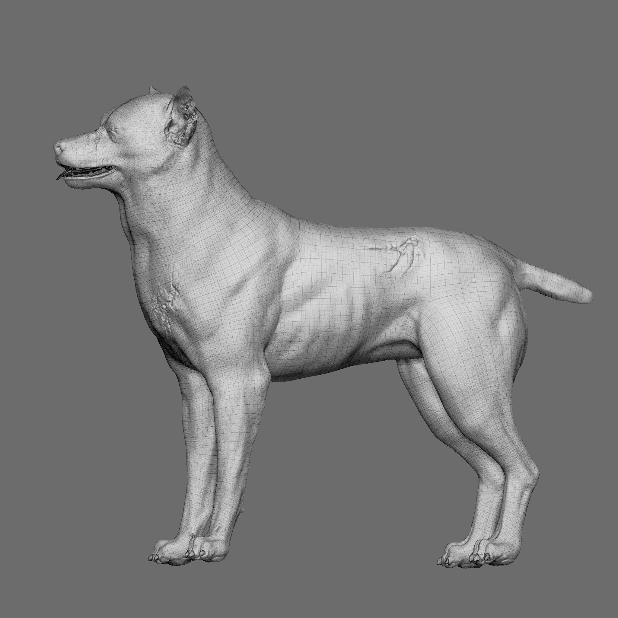Dog 3D Printable Model 3D print model_27