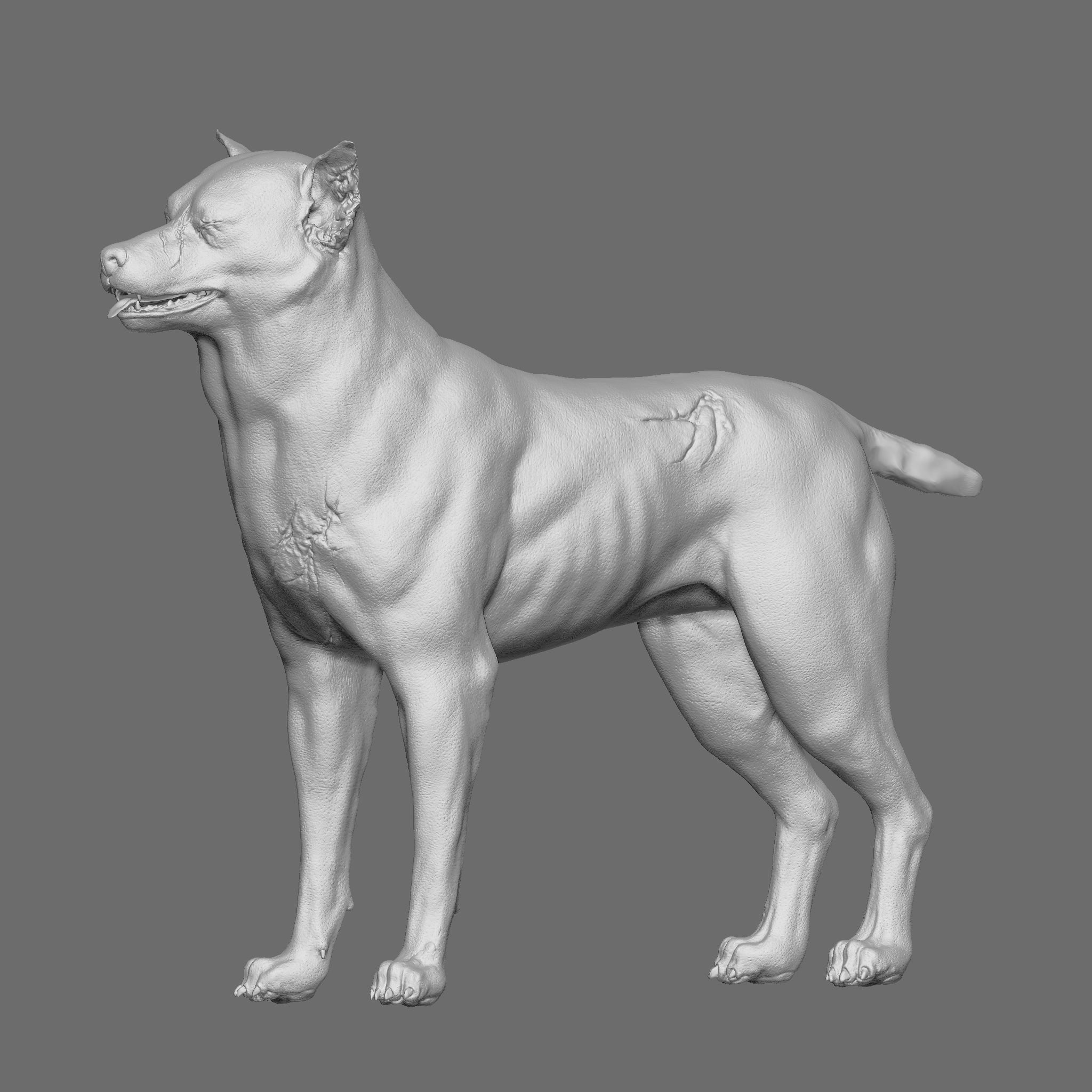 Dog 3D Printable Model 3D print model_6