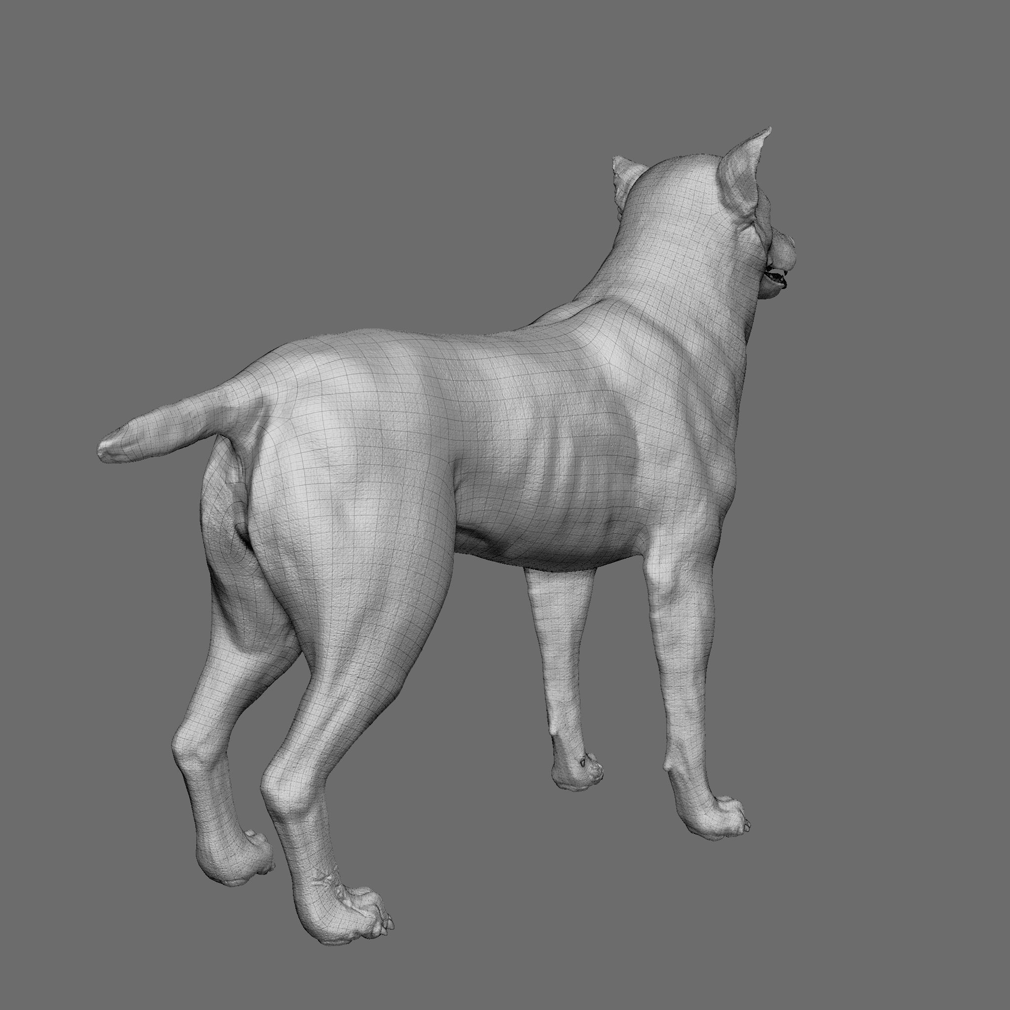 Dog 3D Printable Model 3D print model_30