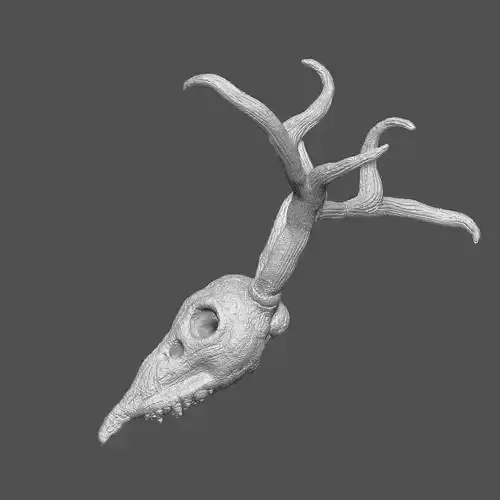 Stag Skull 3D print model