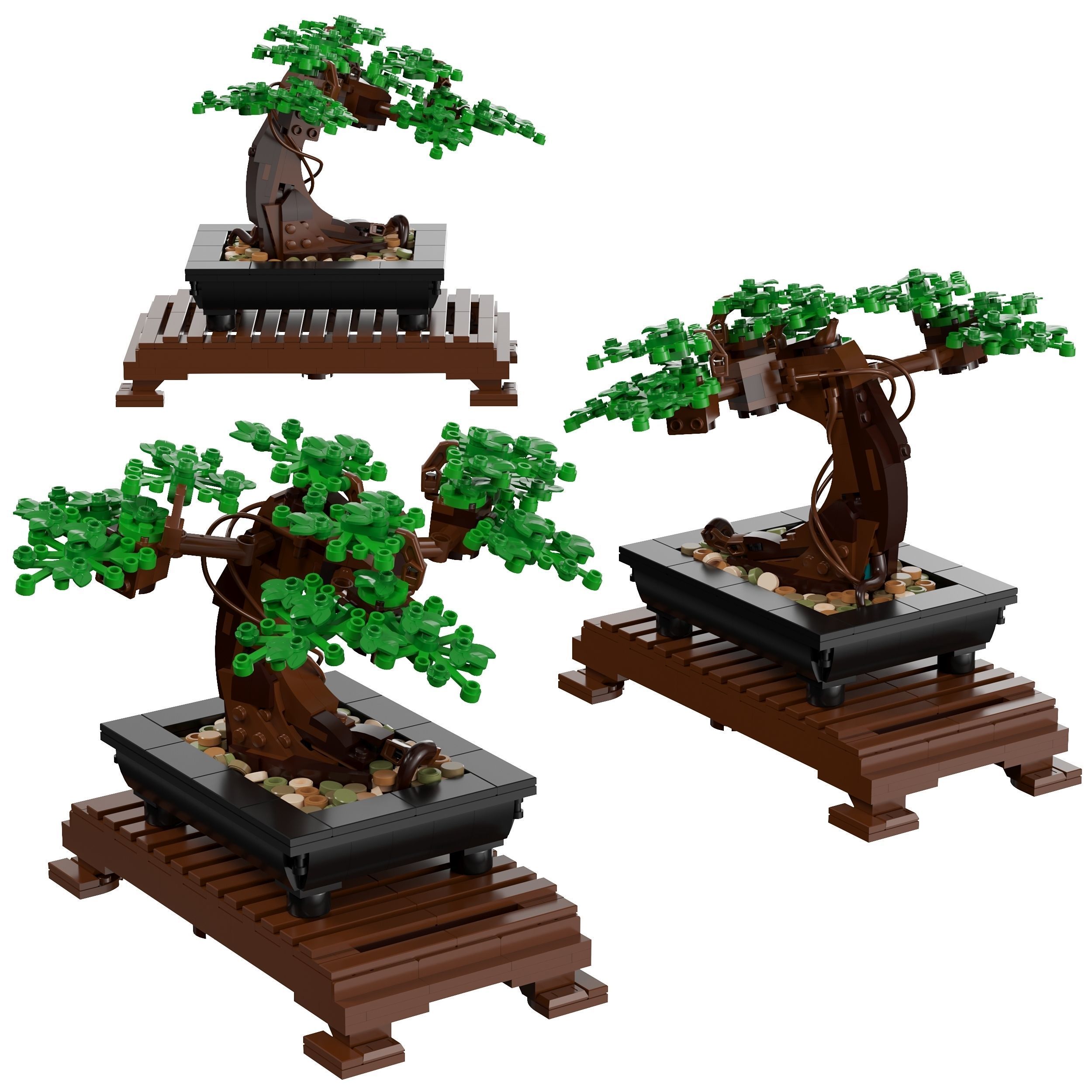 sageretia bonsai blte Bonsai Sageretia  tropischer Bonsai mit feinen Blttern und elegantem  Wuchs, perfekt fr den Innenbereich  Secret Garden Plant Shop