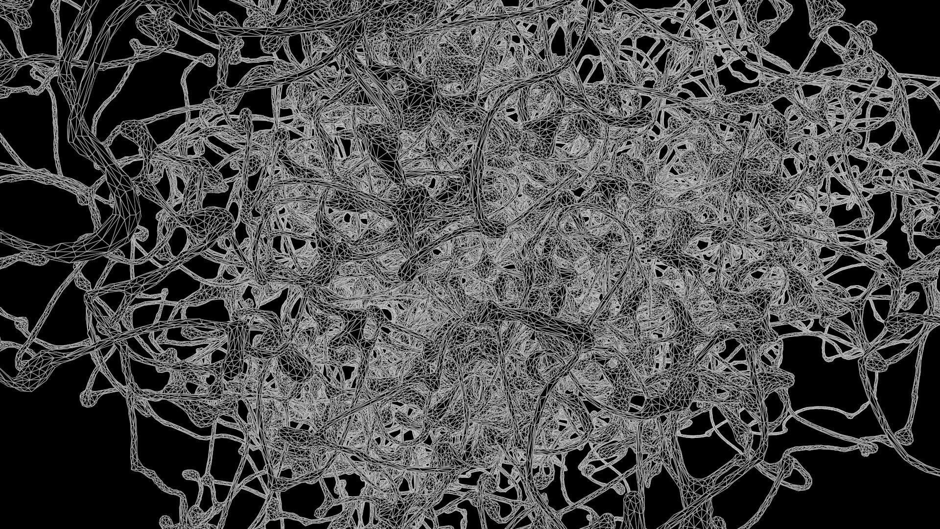 Rosehip Neuron 3D model_10