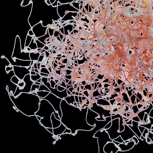 Rosehip Neuron 3D model