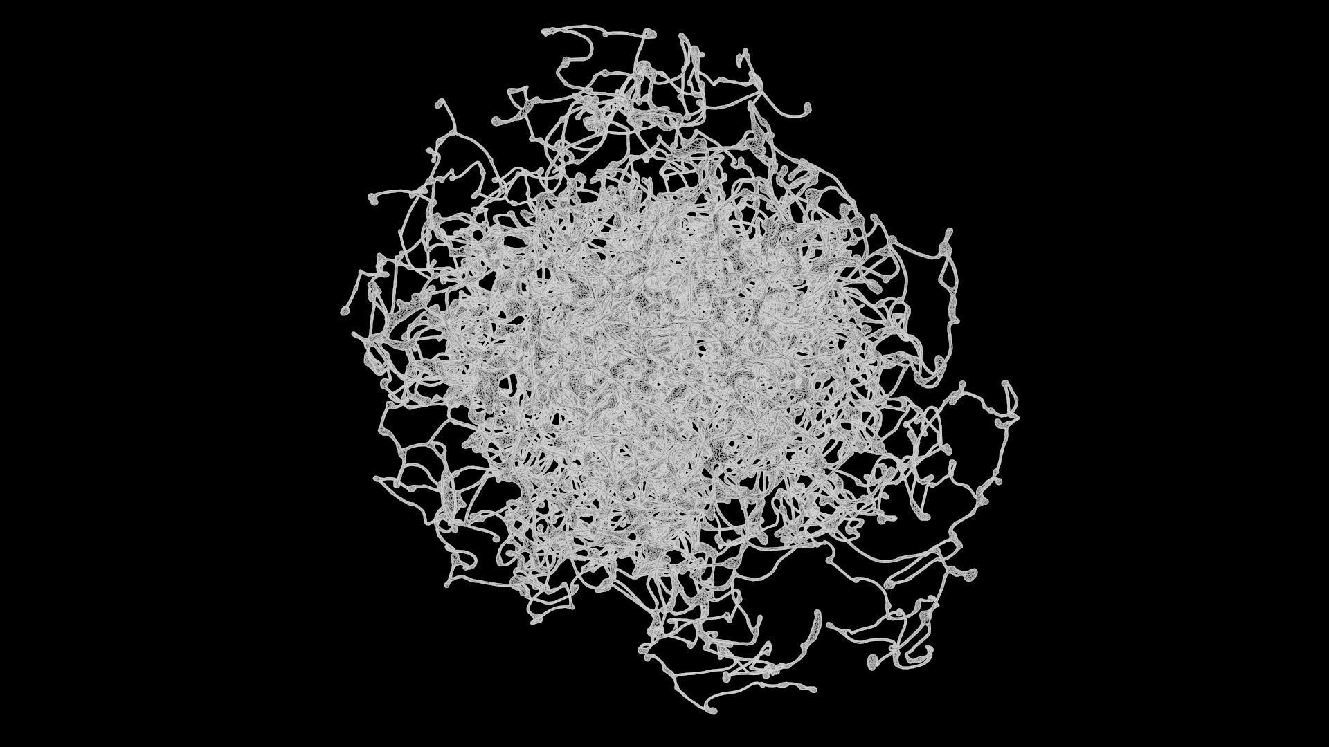 Rosehip Neuron 3D model_11