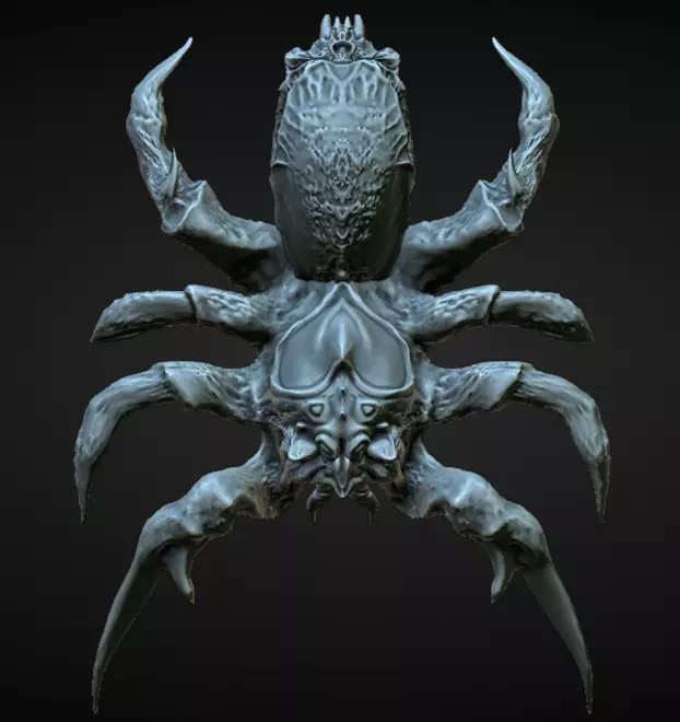 Spider 3D model