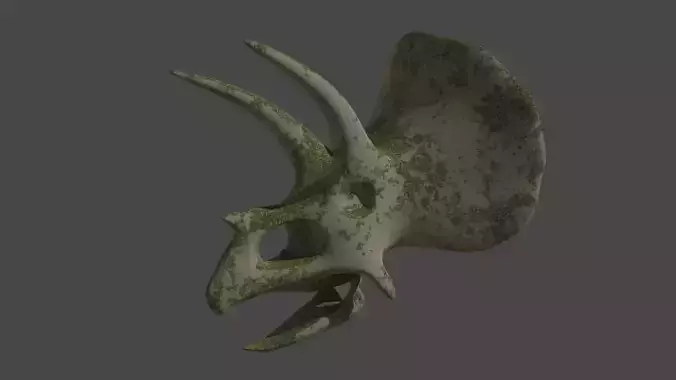 Low Poly mossy Triceratops Skull game ready 