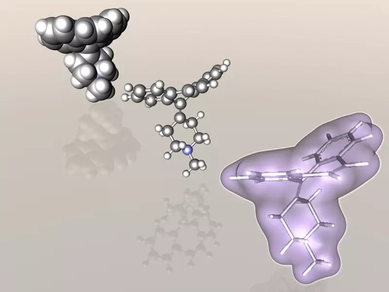 Cyproheptadine molecule 3D model_0