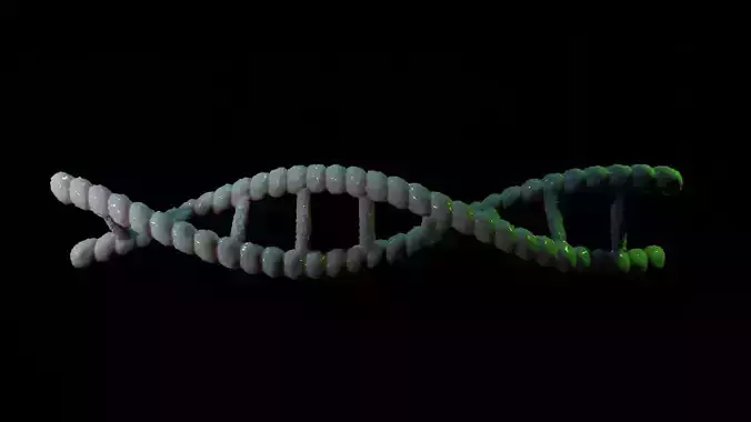 DNA 3D Model strand