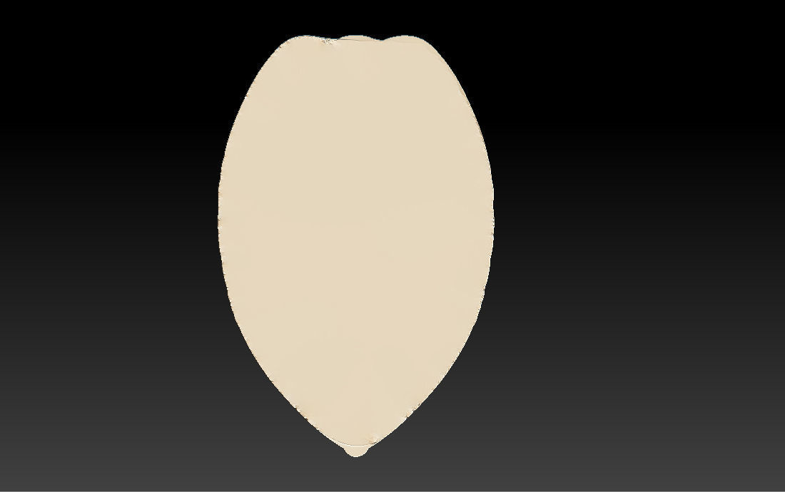 Tucson Arizona Badge - 3D Badges Collection 3D print model_24