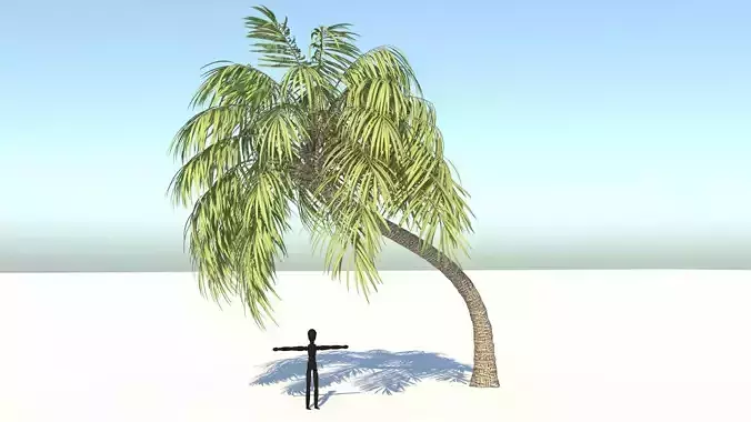 Curly Palm Tree Low-poly 3D model