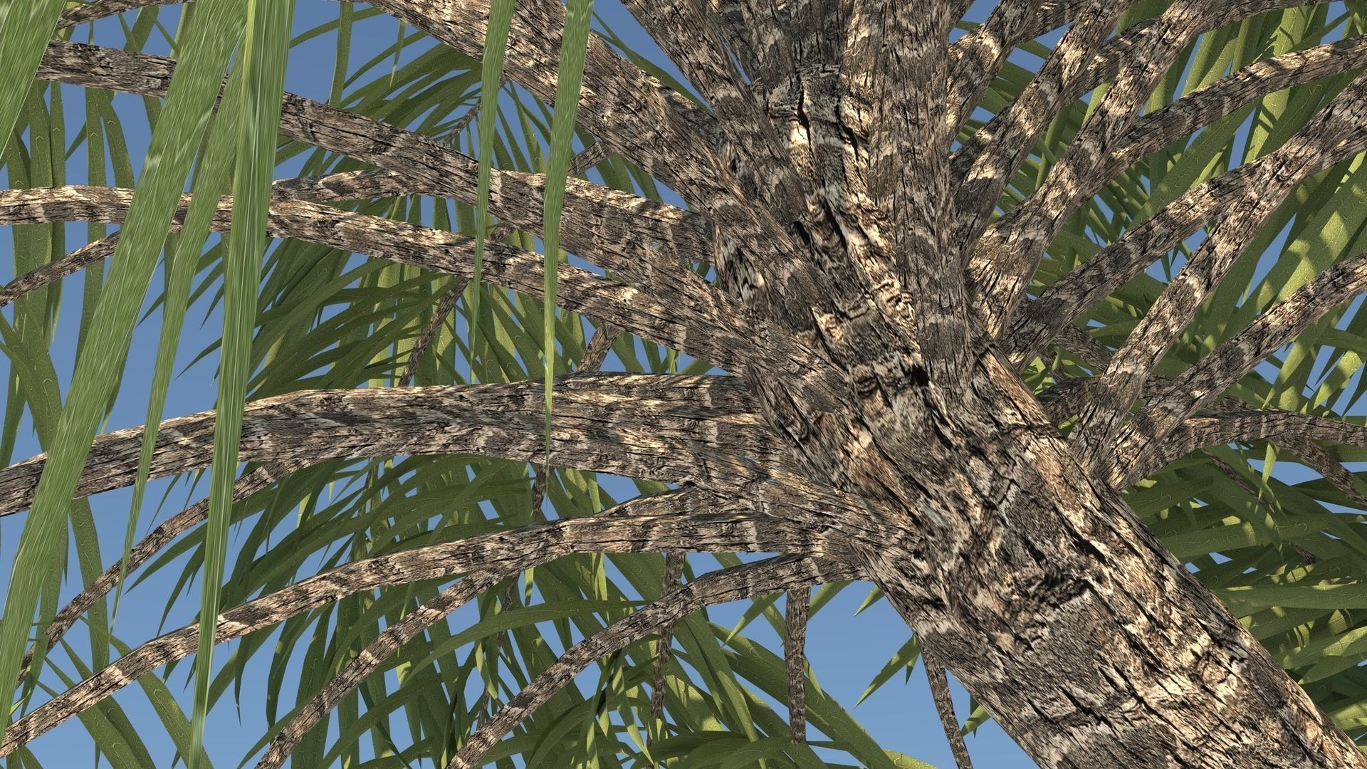Curly Palm Tree Low-poly 3D model_6