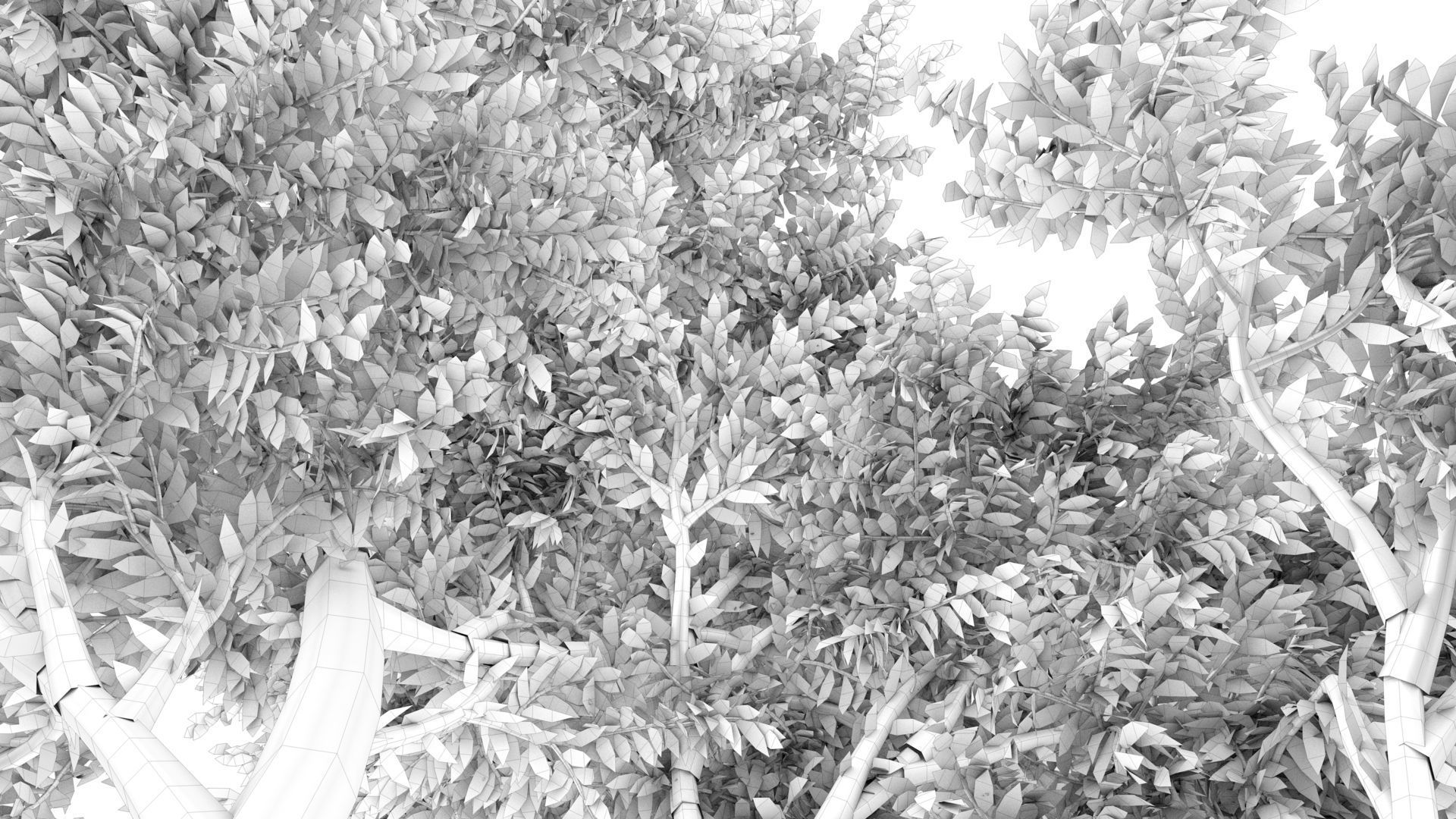 Cork tree 3D model_14